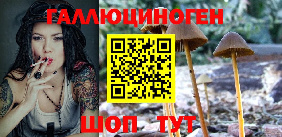 Псилоцибиновые грибы GOLDEN TEACHER Улан-Удэ