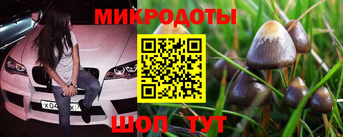 Галлюциногенные грибы прущие грибы  Псилоцибиновые грибы GOLDEN TEACHER  Вход с VPN  Улан-Удэ 